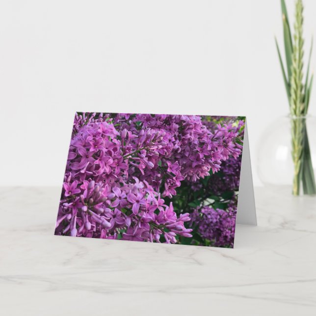 Lila Foto mit Blumenbeeren lila Lila Karte (Vorderseite)