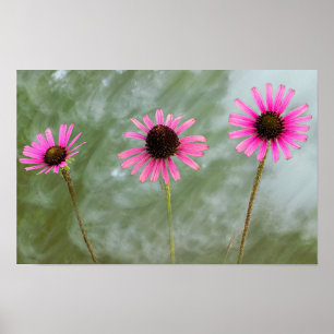 Lila Foto-Plakat Poster