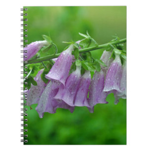 Lila Foxglove Blume Notizblock