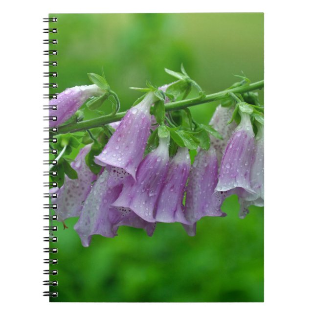 Lila Foxglove Blume Notizblock (Vorderseite)