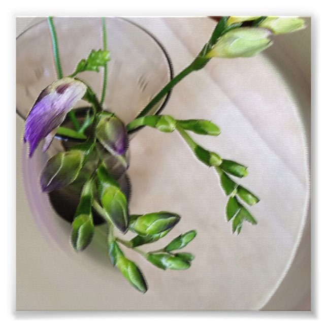 lila Freesia-Knospen Fotodruck (Vorne)