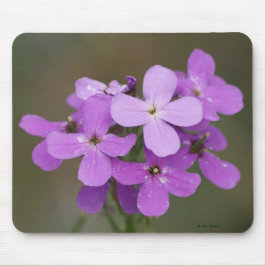 Lila Freifrauen Rocket der Wildblumen-F19 Mousepad