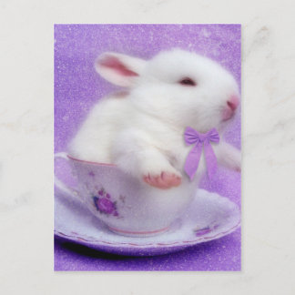 Lila Freudespiele Postkarte