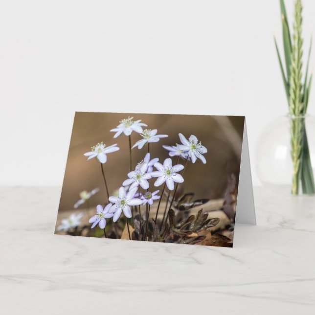 Lila Frühjahrskarte Wildblumen Karte (Vorderseite)