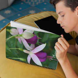 Lila Fuchsien-Blume mit weißem Sepal Planer