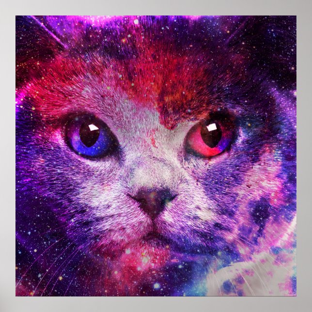 Lila Galaxie-Katze  Poster (Vorne)