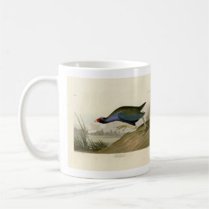Lila Gallinule von Audubons Vögeln Amerikas Kaffeetasse