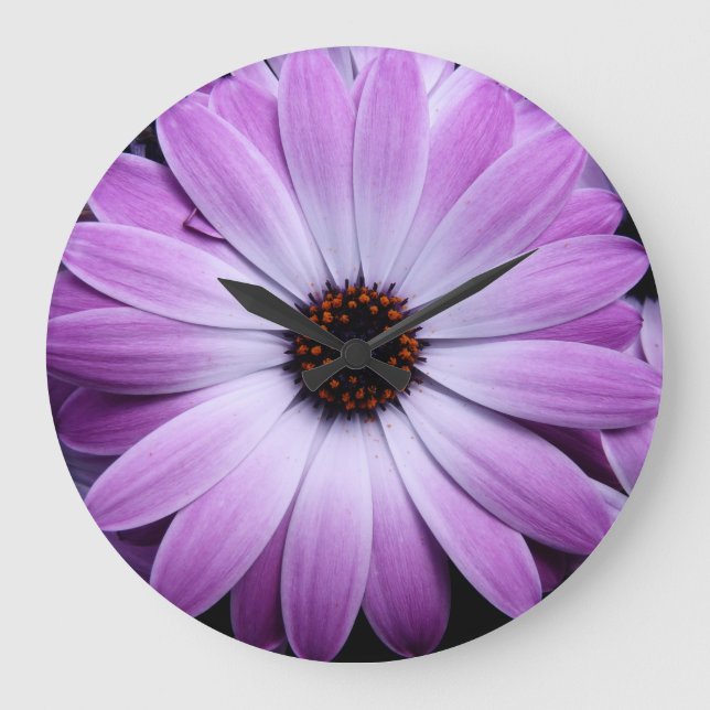 Lila Gänseblümchen Große Wanduhr (Vorderseite)