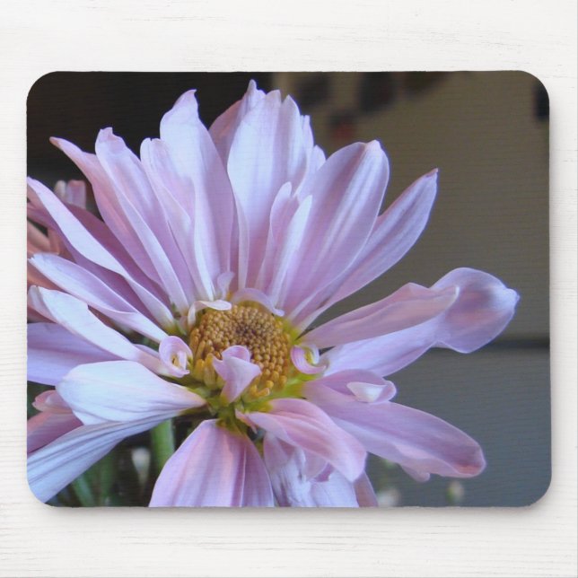 Lila Gänseblümchen Mousepad (Vorne)