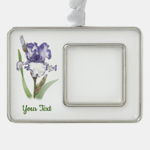 Lila gekräuselte Iris Rahmen-Ornament Silber