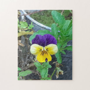 Lila-Gelb-Pansy-Puzzle