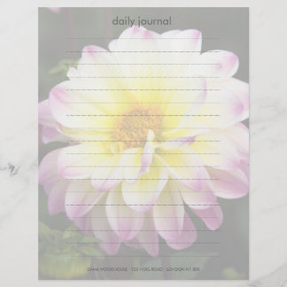 Lila, gelb und weiß Dahlia