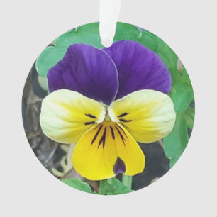 Lila-gelbe Pansy Akrylendekoration Ornament