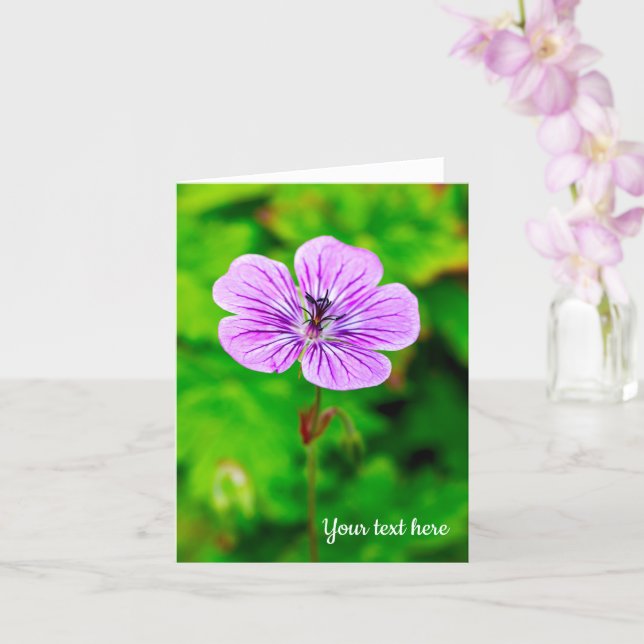 Lila Geranium Grußkarte Karte (Orchidee)
