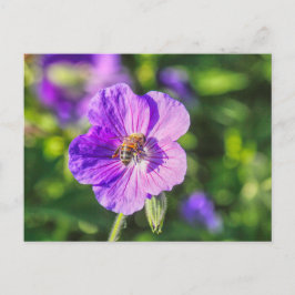 Lila Geranium mit Honey Bee Postkarte