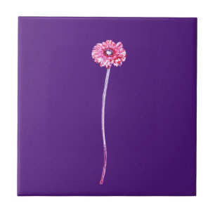 Lila Gerbera-Blume Fliese