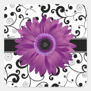 Lila Gerbera-Gänseblümchen mit schwarzem Quadratischer Aufkleber