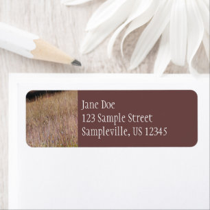 Lila Gras und Wildblumen