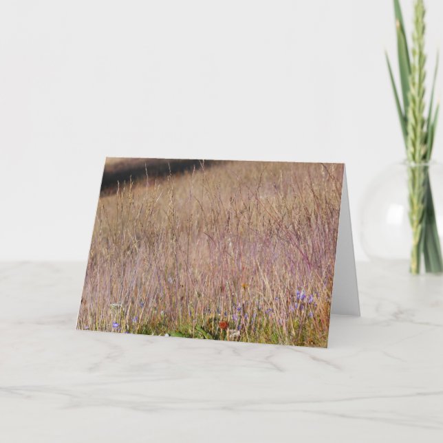 Lila Gras und Wildblumen Karte (Vorderseite)