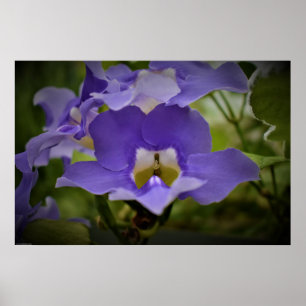 Lila & grün, poster