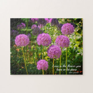 Lila Gruppe von Allium Blume Motivierend Angebot