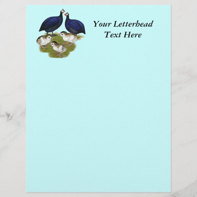 Lila Guinea (Vorderseite)