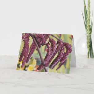 Lila Haselnuss im Frühjahr Feiertagskarte