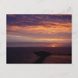 Lila Haze Postkarte