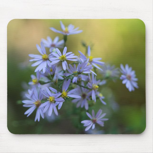 Lila Herbst-Aster-BlumenWildblume Mousepad (Vorne)