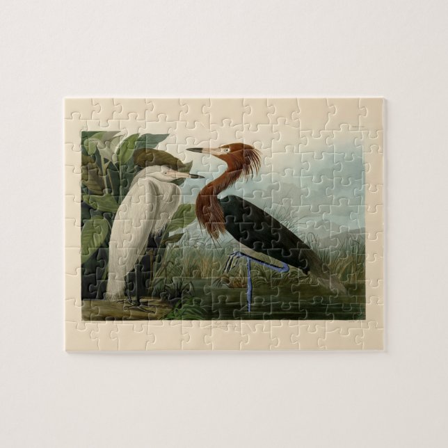 Lila Heron Audubon Bird Wildlife Painting (Horizontal)