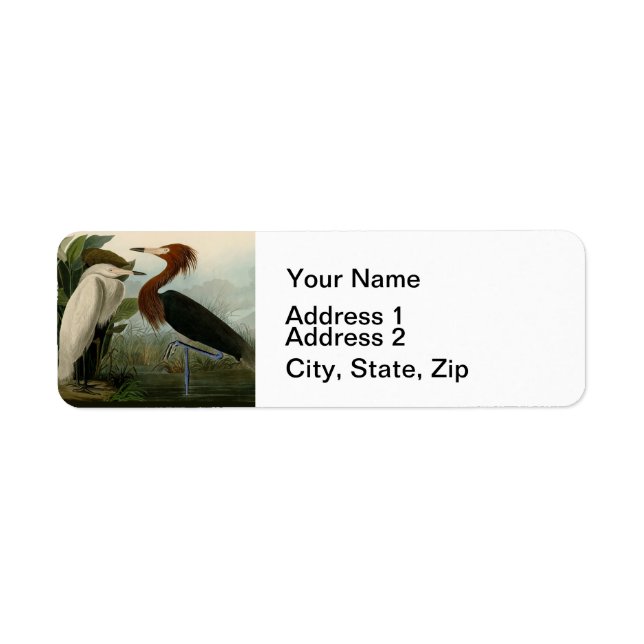 Lila Heron Audubon Bird Wildlife Painting (Vorne)