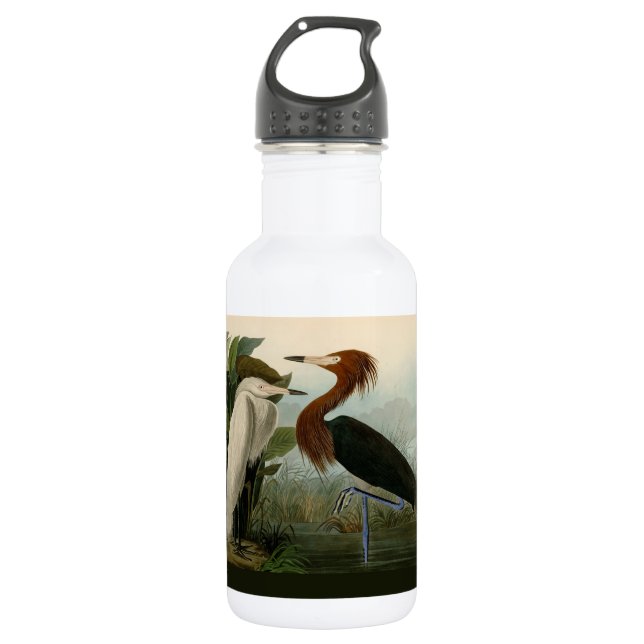 Lila Heron Audubon Bird Wildlife Painting Edelstahlflasche (Vorderseite)