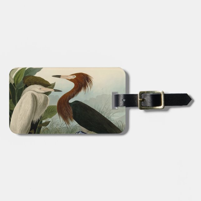 Lila Heron Audubon Bird Wildlife Painting Gepäckanhänger (Vorderseite horizontal)