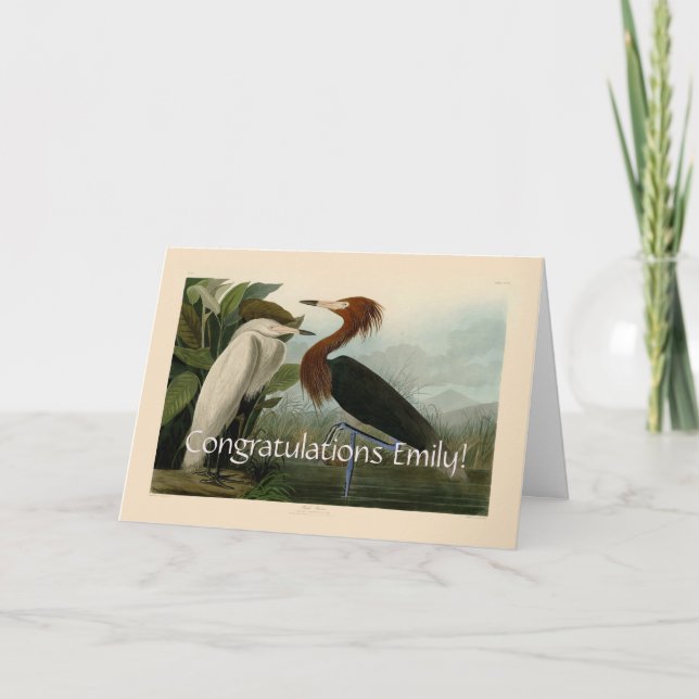 Lila Heron Audubon Bird Wildlife Painting Karte (Vorderseite)