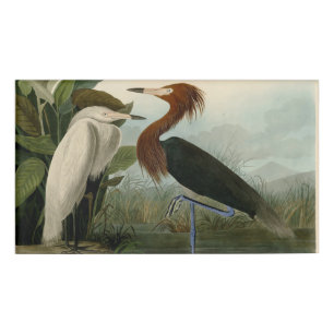 Lila Heron Audubon Bird Wildlife Painting Namenschild