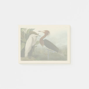 Lila Heron Audubon Bird Wildlife Painting Post-it Klebezettel