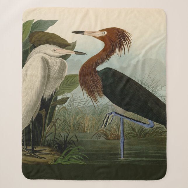 Lila Heron Audubon Bird Wildlife Painting Sherpadecke (Vorderseite)