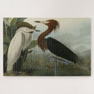 Lila Heron - von Audubons Vögeln Amerikas