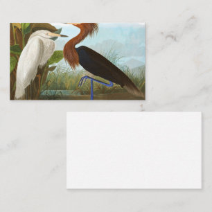 Lila Heron von John James Audubon Visitenkarte