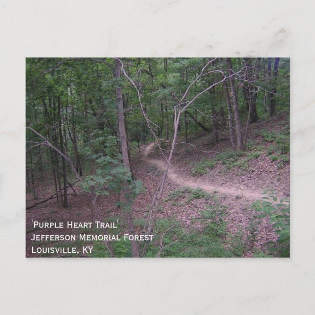 'Lila Herzweg' Postkarte (Vorderseite)