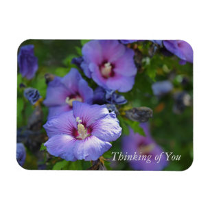 Lila Hibiskus Garden Blume Denken Sie an Sie Magnet