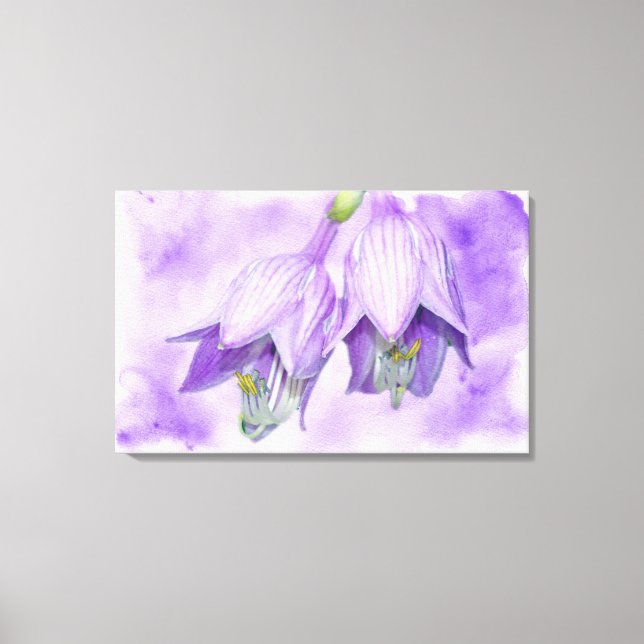 Lila Hosta-Blume Leinwanddruck (Vorderseite)