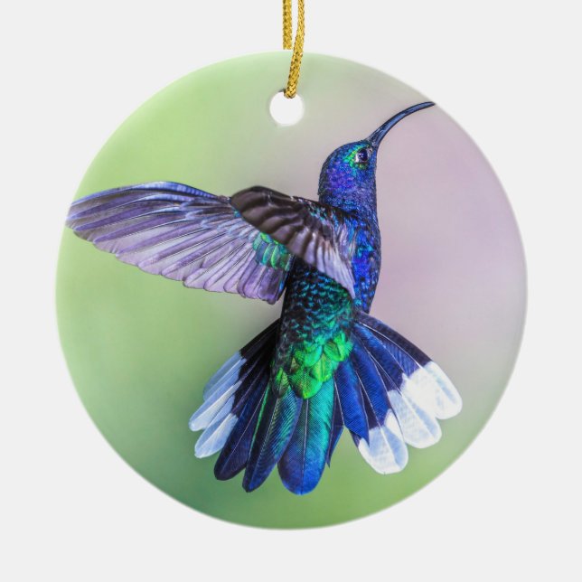 Lila Hummingbird Flying Monogram Name Keramik Ornament (Vorne)