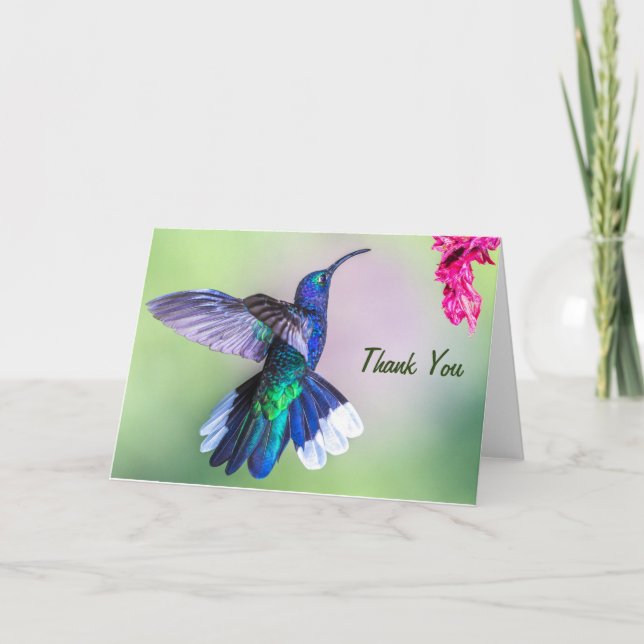 Lila Hummingbird Vielen Dank Karte (Vorderseite)
