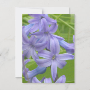 Lila Hyacinth Nah Up DIY Postkarte