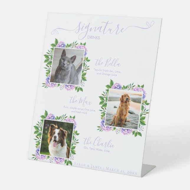 Lila Hydrangeas 3 Foto Begleithetikgetränk Sockelschild (Vorderseite)