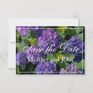 Lila Hydrangeas Save The Date