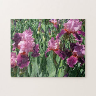 Lila Ire Spring Floral