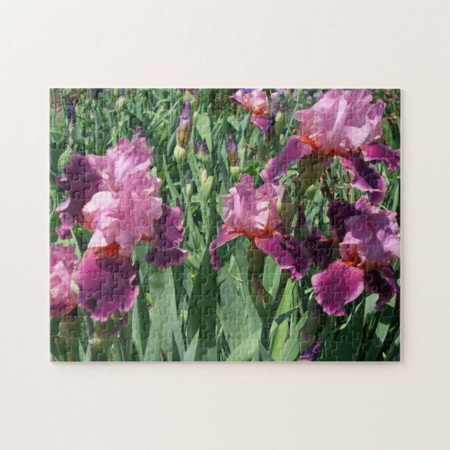 Lila Ire Spring Floral (Horizontal)