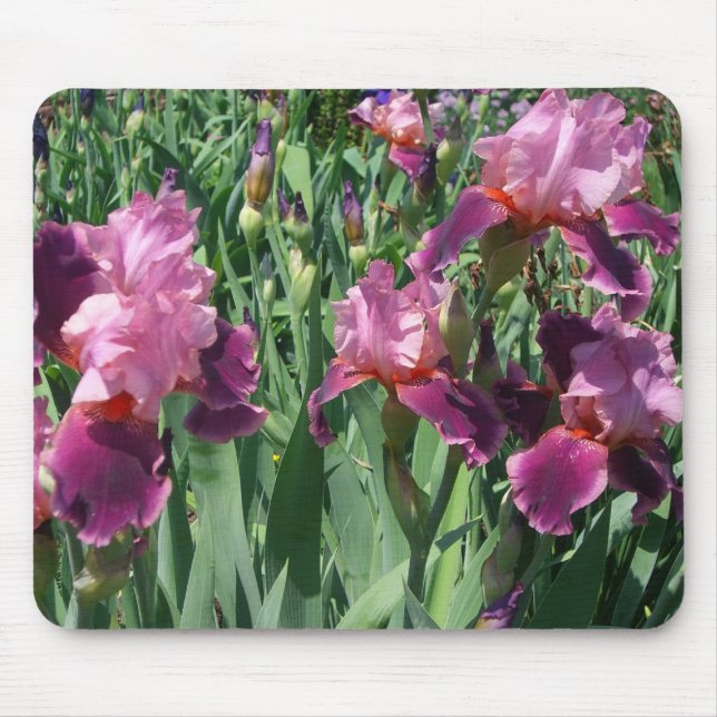 Lila Ire Spring Floral Mousepad (Vorne)